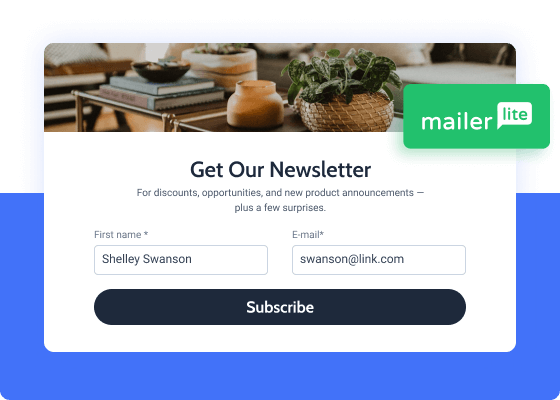 mailerlite newsletter form