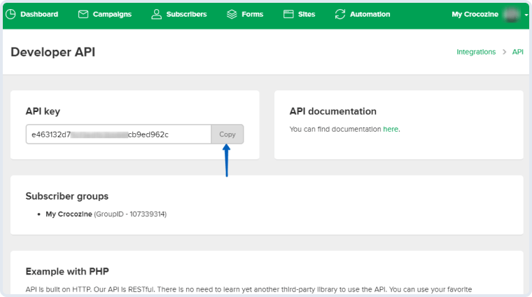 api key copying to clipboard